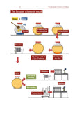 How to Brew Honey Wine - Karl Stückler