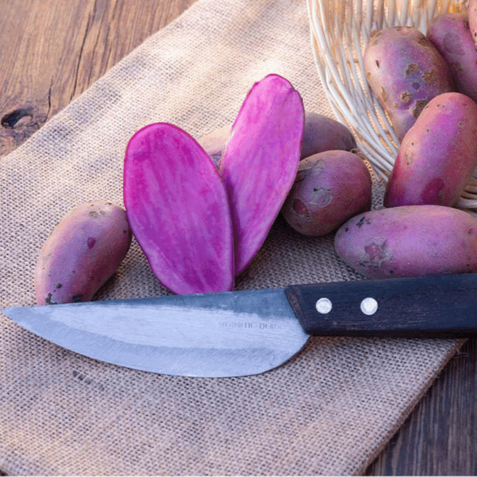 Thang veitsi, 12cm - 20cm terällä