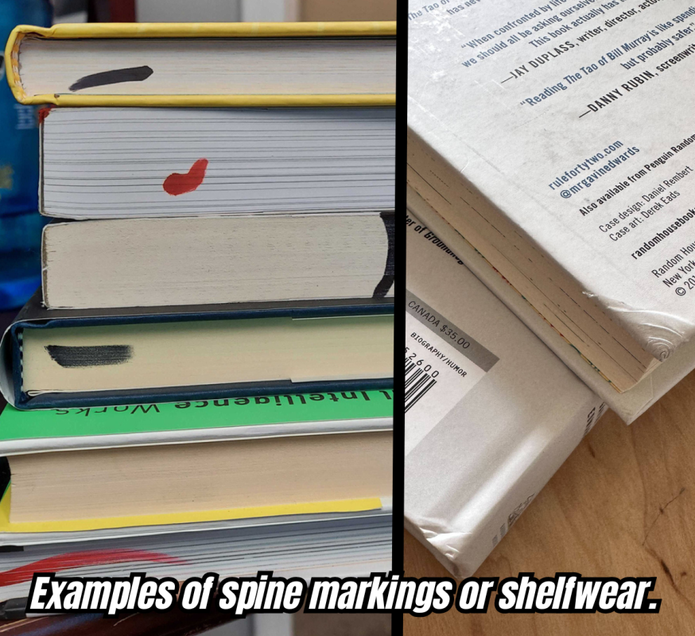 Sir Gawain: Knight of the Goddess - John Matthews
