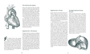 Saint Hildegard’s Guide to Wellness - Holger Vornholt
